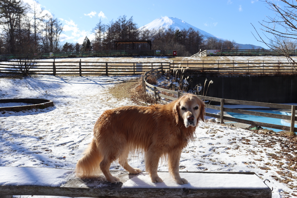 ファイル 9034-4.jpg