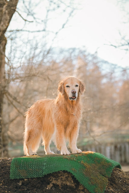 ファイル 9037-2.jpg