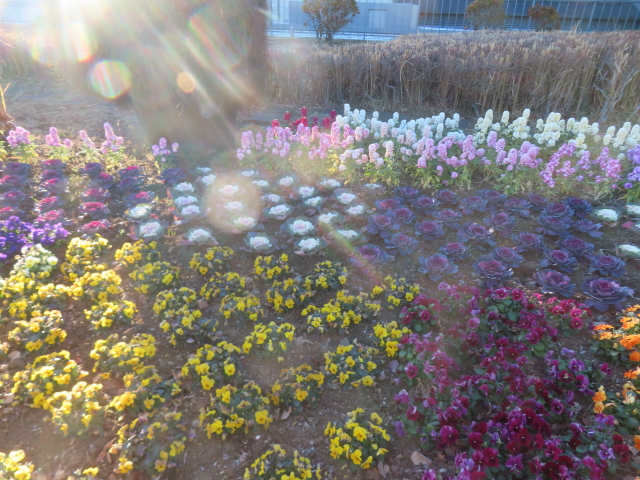 ファイル 9039-1.jpg