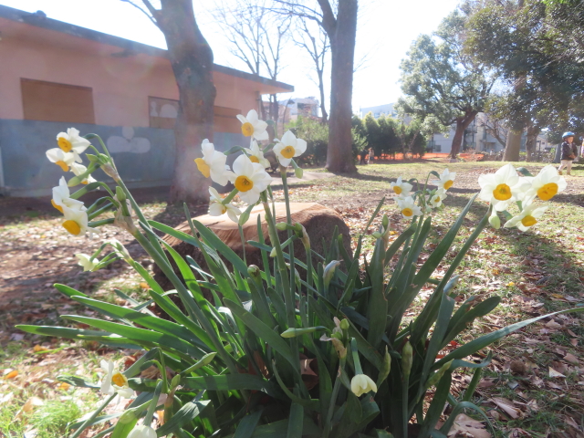 ファイル 9039-2.jpg