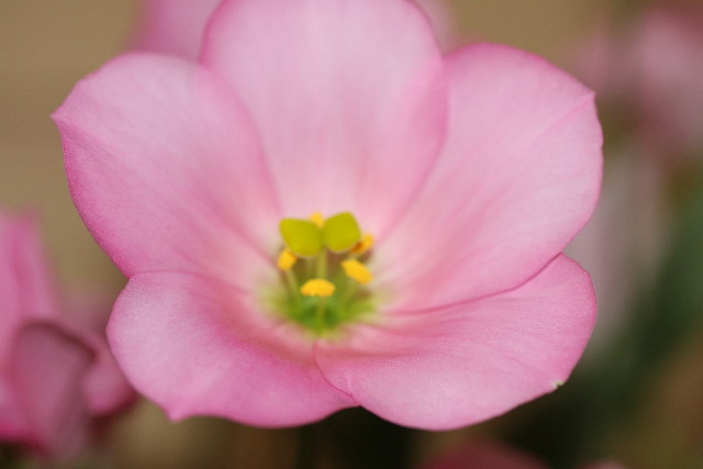 ファイル 904-4.jpg