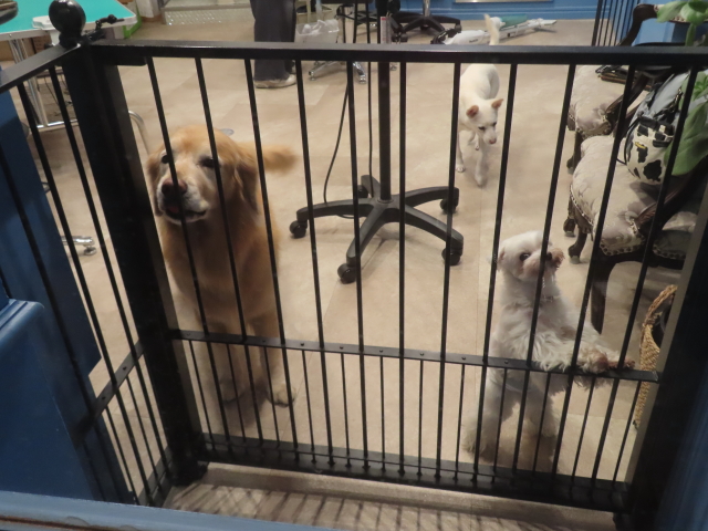 ファイル 9041-3.jpg