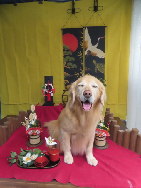 ファイル 9041-4.jpg