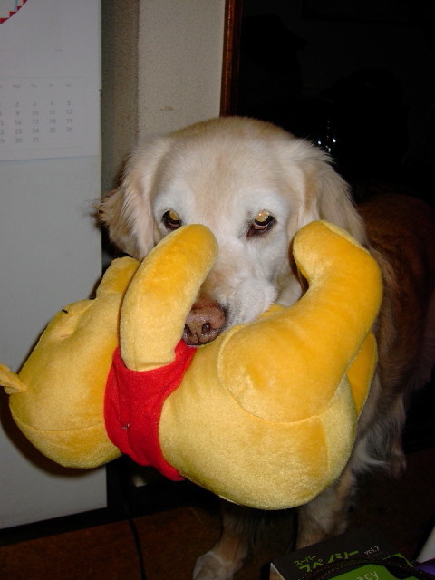 ファイル 9042-2.jpg