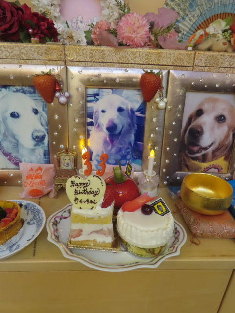 ファイル 9042-4.jpg