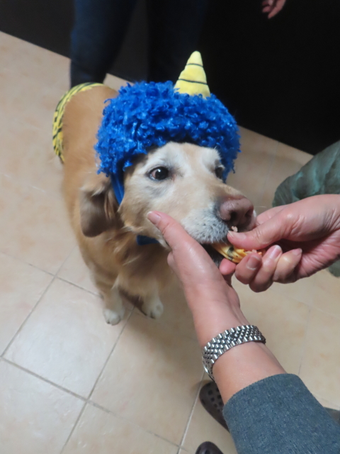 ファイル 9043-4.jpg