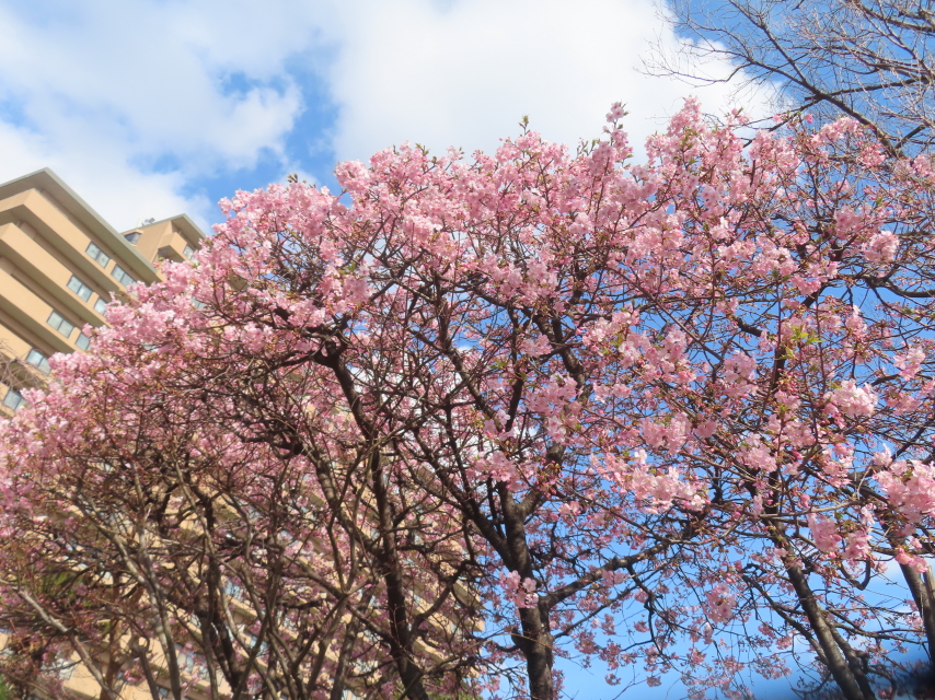 ファイル 9048-2.jpg