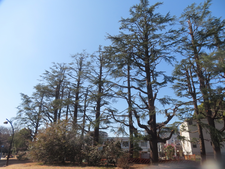 ファイル 9048-3.jpg