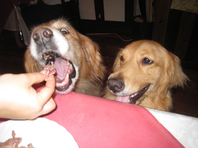 ファイル 905-2.jpg