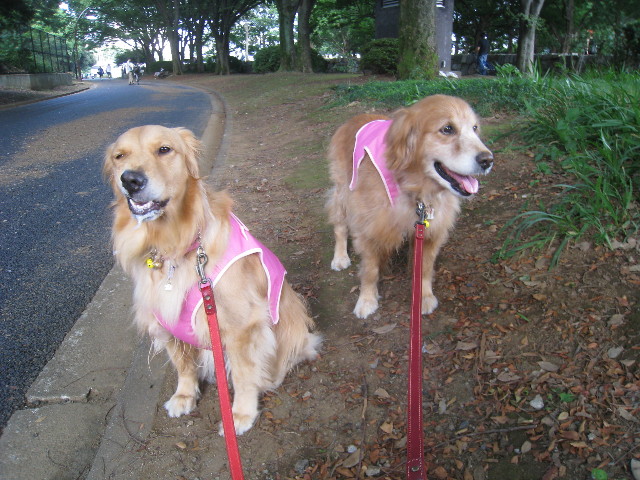 ファイル 905-5.jpg