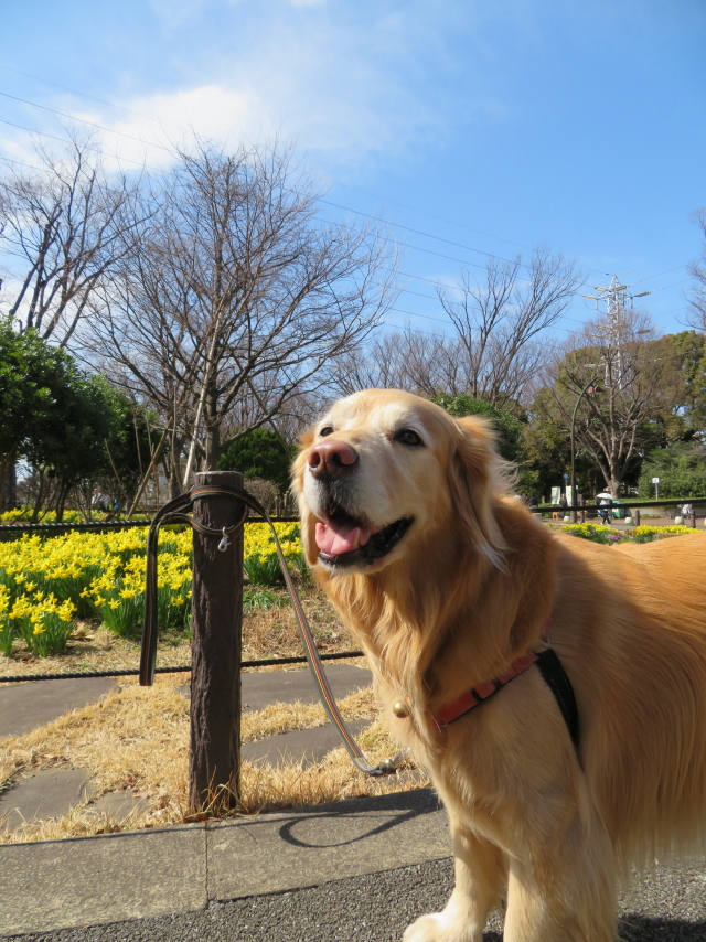 ファイル 9050-4.jpg