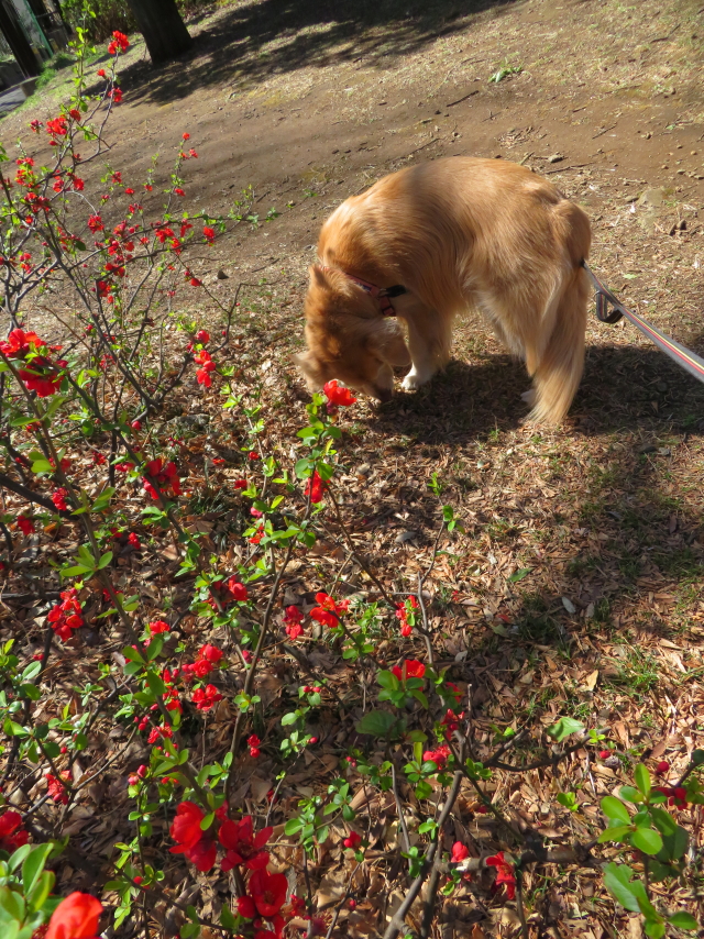 ファイル 9050-5.jpg