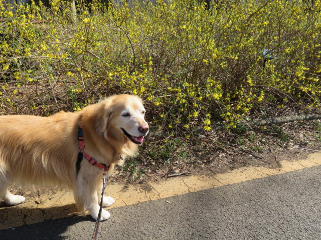 ファイル 9053-4.jpg