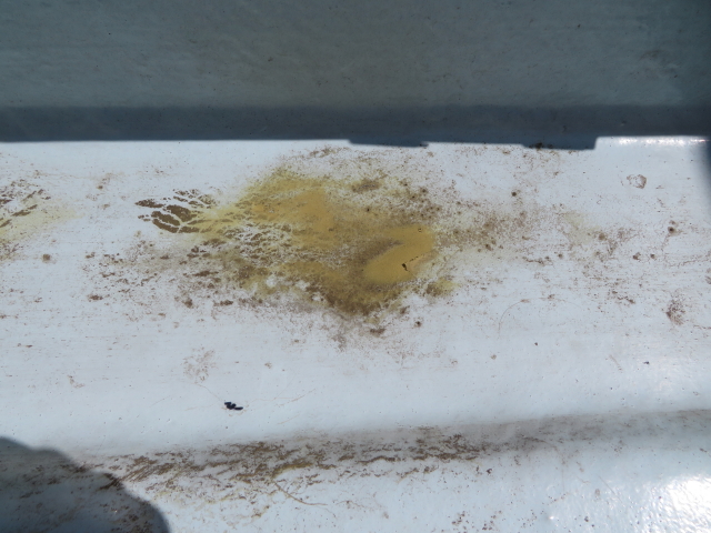 ファイル 9055-5.jpg