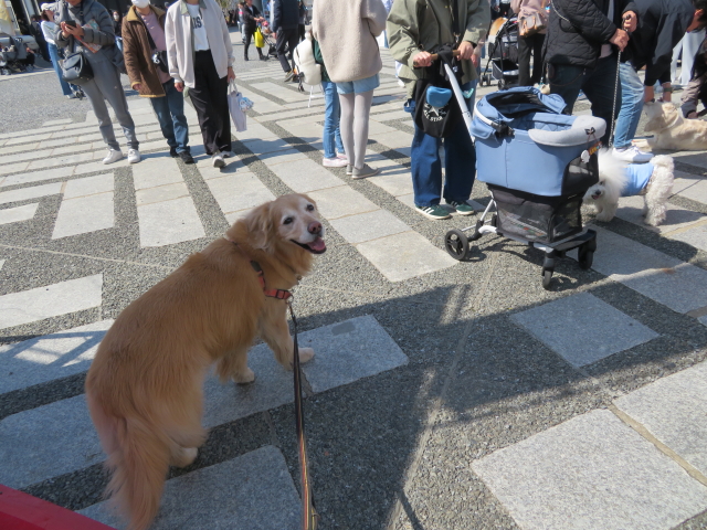 ファイル 9056-5.jpg