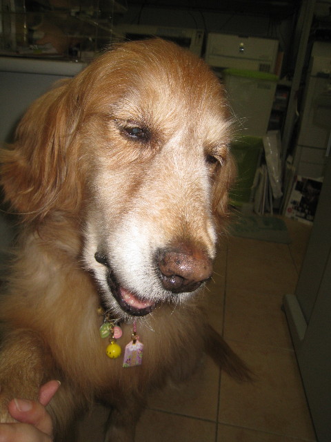 ファイル 906-1.jpg