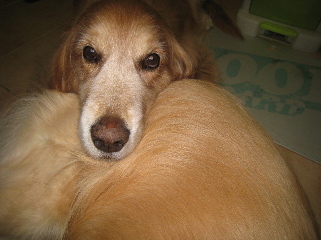 ファイル 906-5.jpg