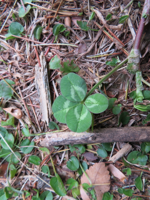 ファイル 9060-3.jpg