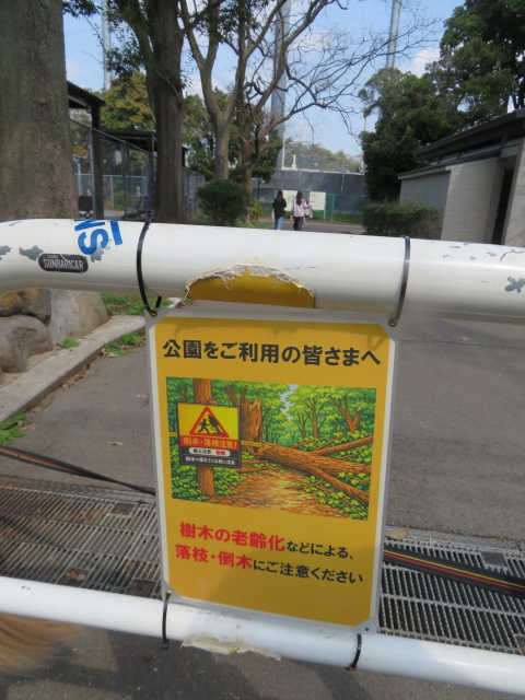 ファイル 9062-3.jpg