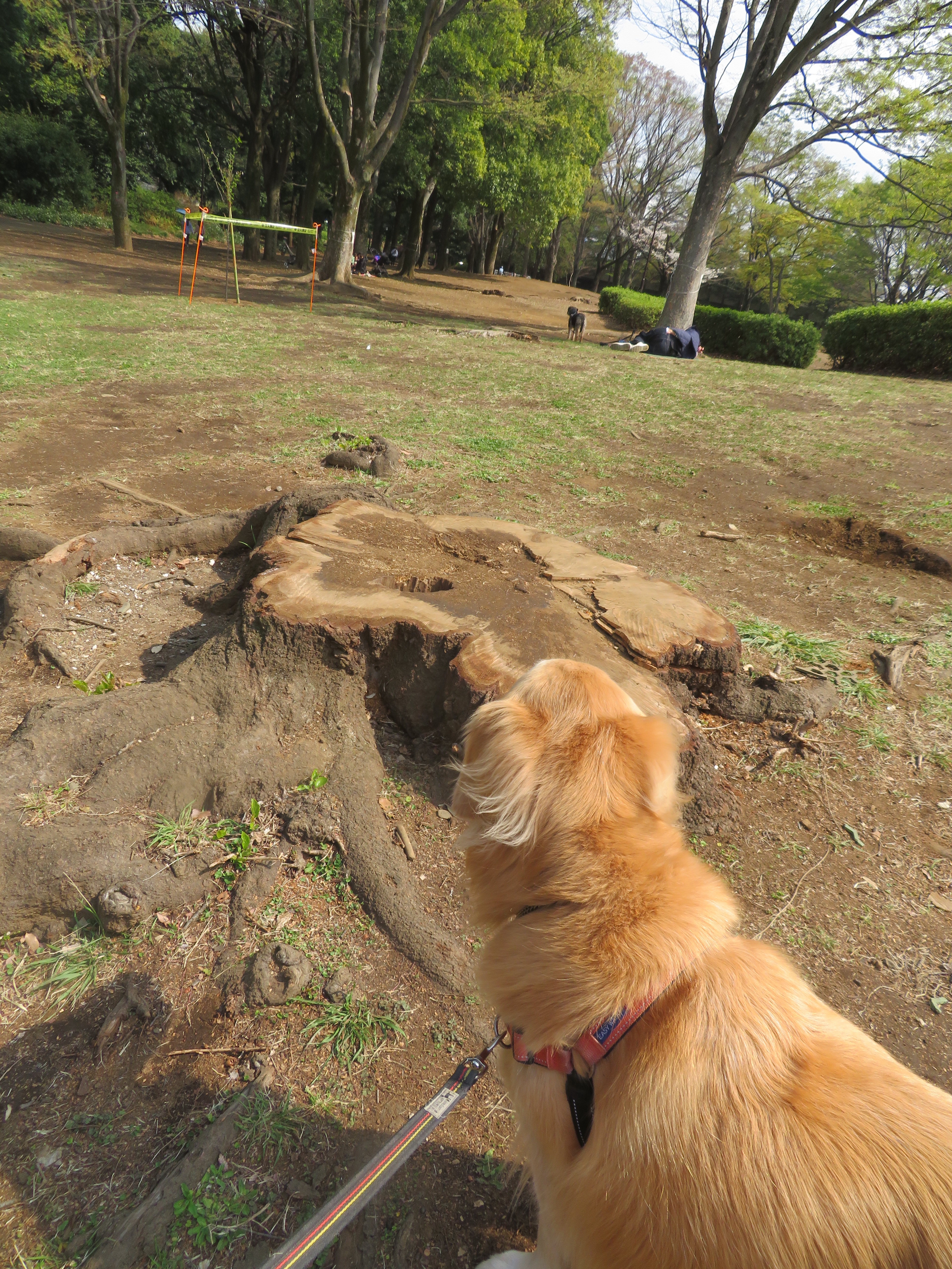 ファイル 9063-5.jpg