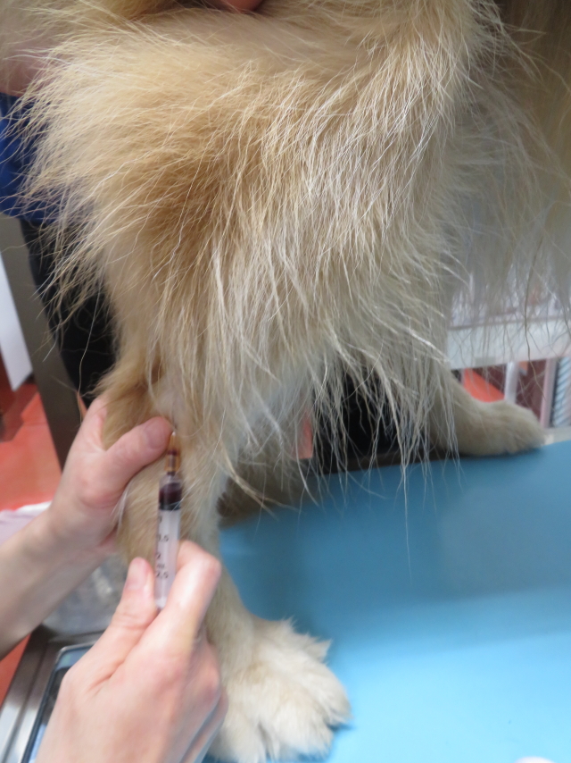 ファイル 9065-3.jpg