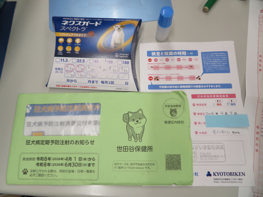 ファイル 9065-5.jpg