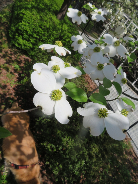 ファイル 9070-3.jpg