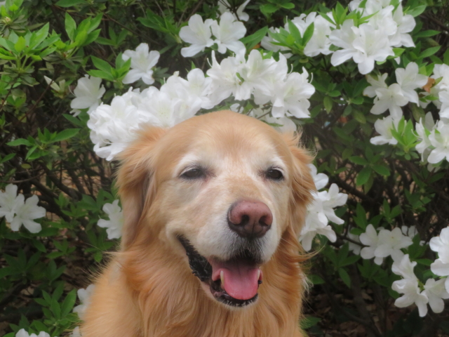 ファイル 9072-5.jpg