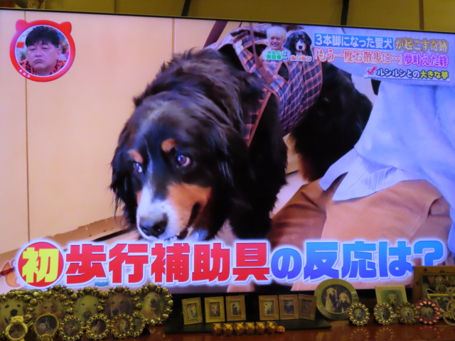 ファイル 9074-2.jpg