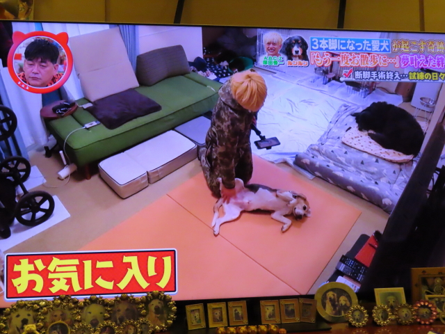 ファイル 9074-5.jpg