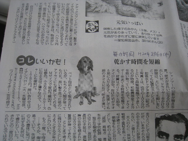 ファイル 909-1.jpg