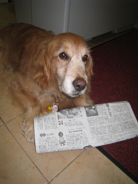 ファイル 909-2.jpg