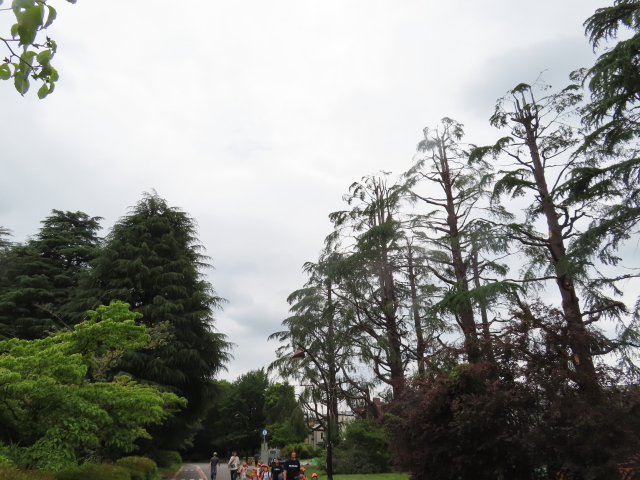 ファイル 9096-5.jpg