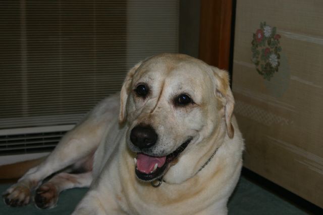 ファイル 91-1.jpg