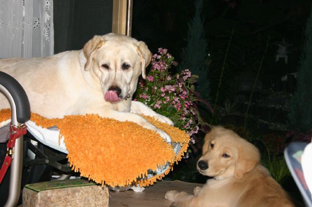 ファイル 91-5.jpg