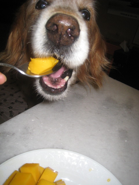 ファイル 910-4.jpg