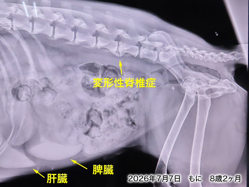 ファイル 9109-2.png