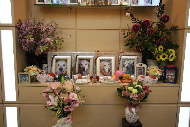 ファイル 911-3.jpg