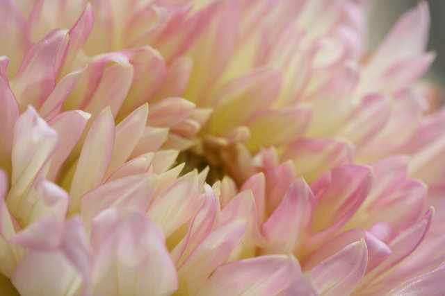 ファイル 911-5.jpg