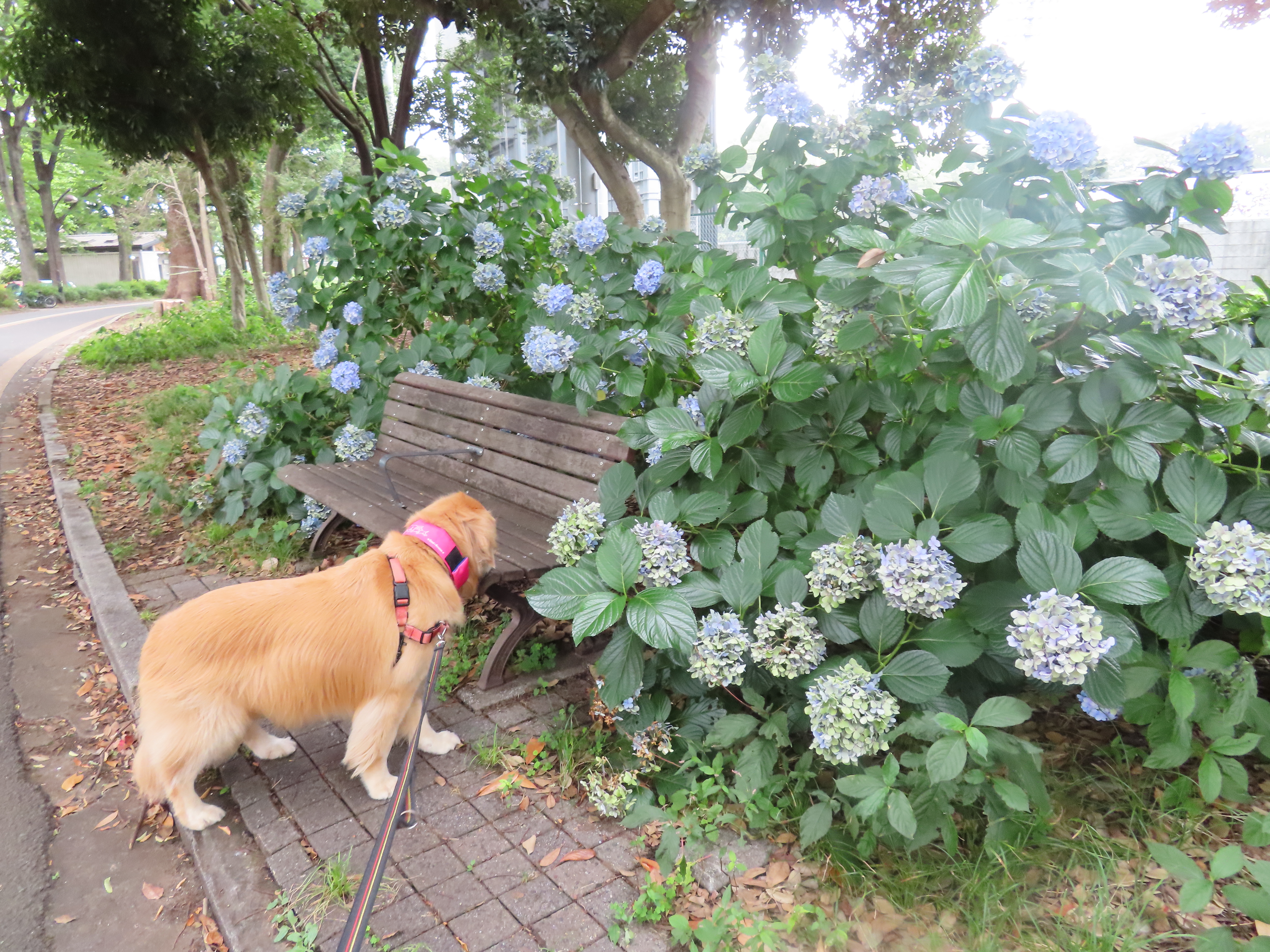 ファイル 9111-4.jpg