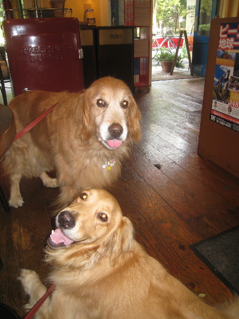 ファイル 912-4.jpg