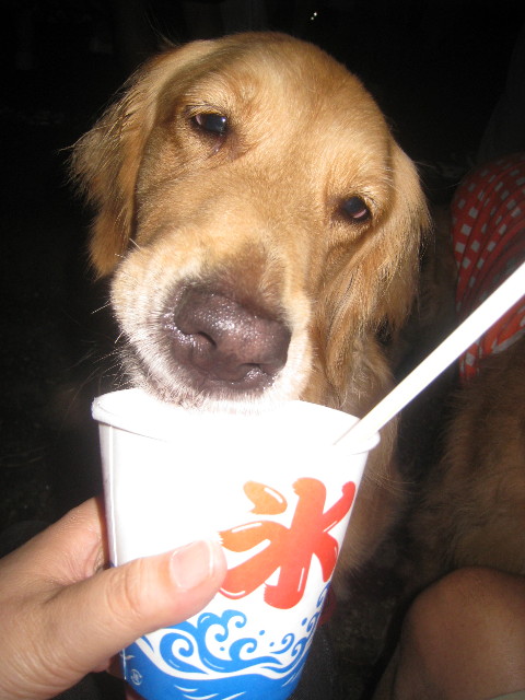 ファイル 913-4.jpg