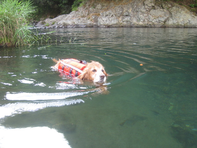 ファイル 914-3.jpg