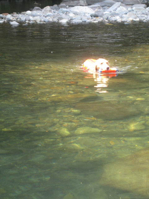 ファイル 914-4.jpg