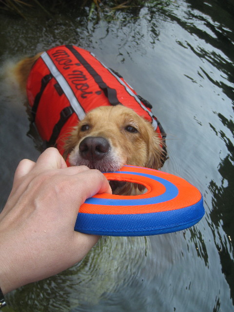 ファイル 915-4.jpg