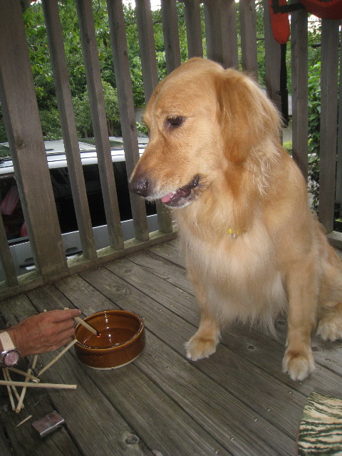 ファイル 916-5.jpg