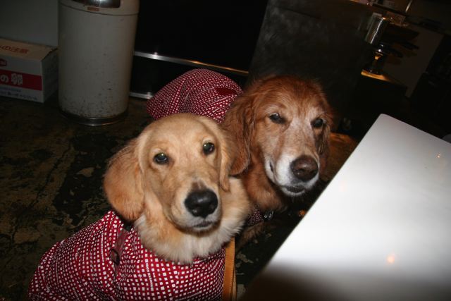 ファイル 92-1.jpg