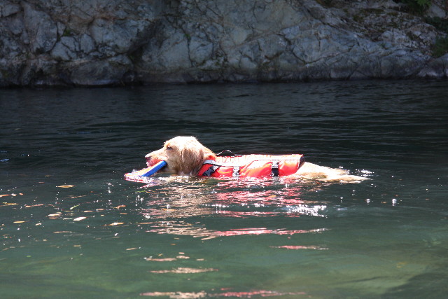 ファイル 921-2.jpg