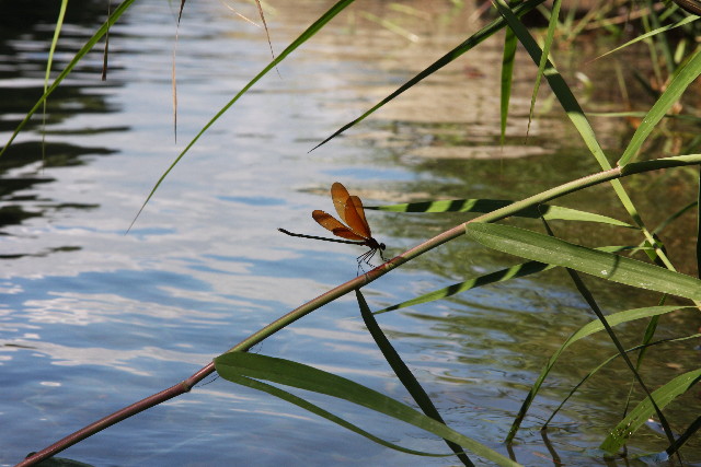 ファイル 922-3.jpg