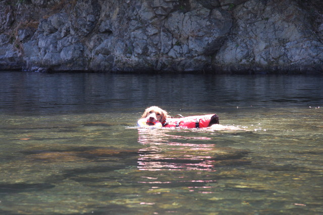 ファイル 922-5.jpg